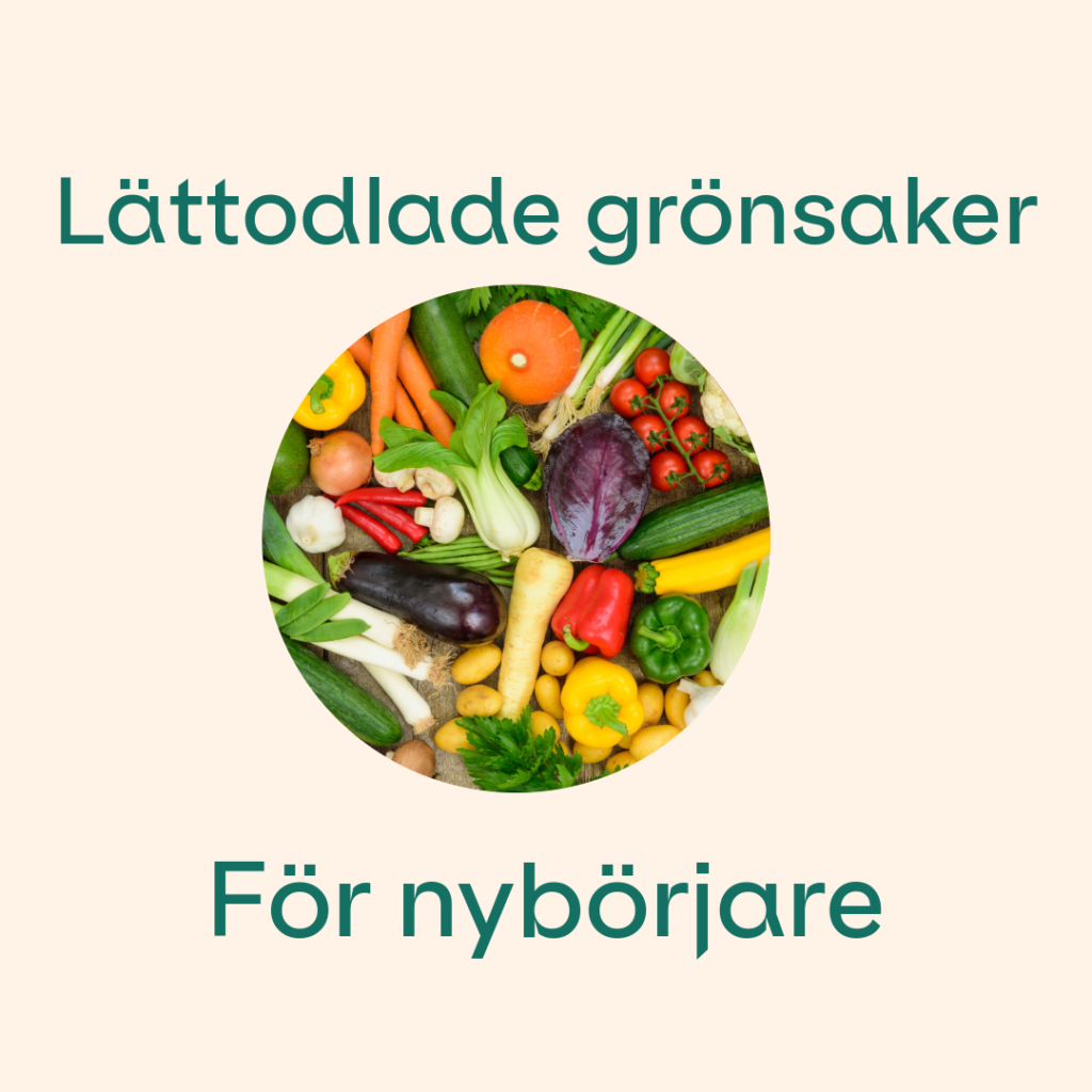 lättodlade grönsaker